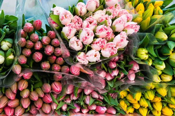 Асортимент Яскравих Квітів Тюльпанів Столі — стокове фото