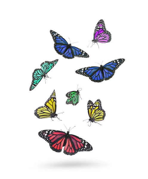 Many Beautiful Colorful Butterflies Flying White Background — Stock Photo, Image