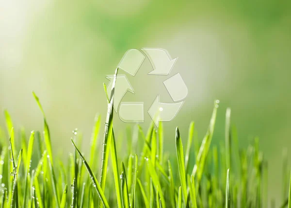 Groen Gras Illustratie Van Recycling Symbool Wazige Achtergrond — Stockfoto