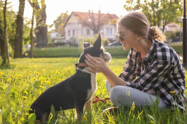 Parktaki yeşil çimlerde dinlenen sevimli köpeğiyle genç bir kız.