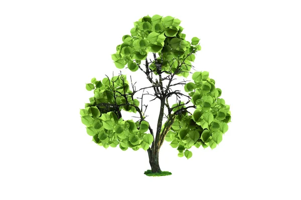 Дерево Зелеными Листьями Виде Символа Вторичной Переработки Белом Фоне — стоковое фото