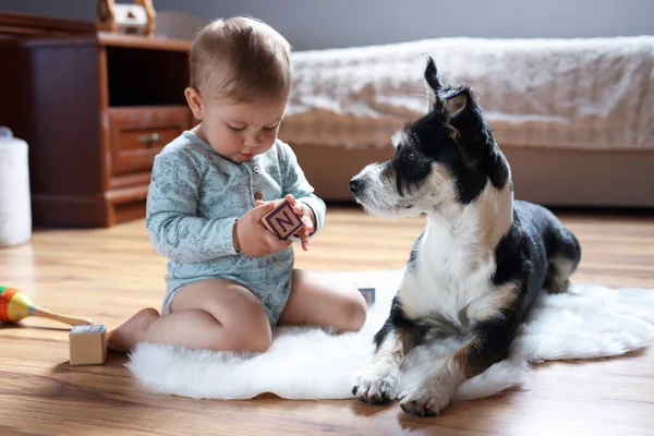 Liebenswertes Baby Mit Spielzeug Und Süßem Hund Auf Kunstpelzteppich Hause — Stockfoto
