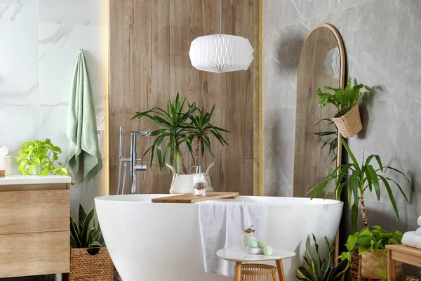 Современные Белые Тубы Красивые Зеленые Домашние Растения Ванной Комнате Дизайн — стоковое фото