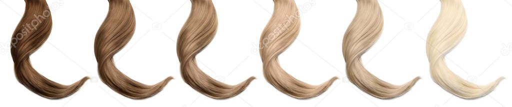 Strands of different beautiful hair on white background, top view. Banner design