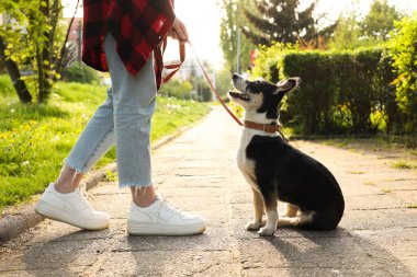 Parkta sevimli köpeği olan bir kadın, yakın plan.