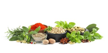 Beyaz arka planda aromatik baharatlı farklı taze otlar.