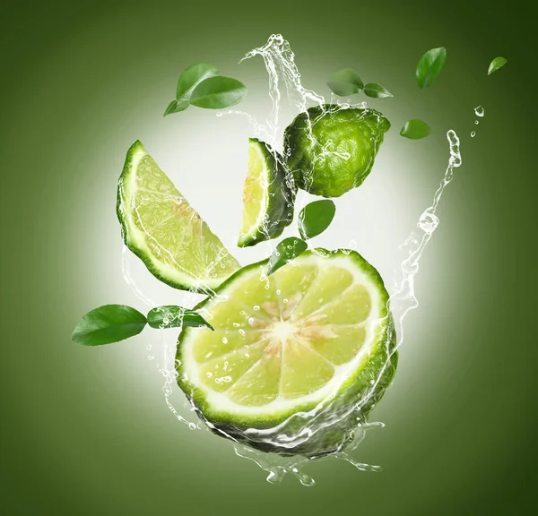 Verse Rijpe Bergamot Vruchten Groene Bladeren Spetterend Water Kleur Achtergrond — Stockfoto