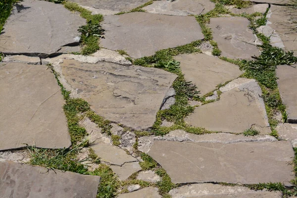 Старый Каменный Путь Зеленой Травой Качестве Фона — стоковое фото