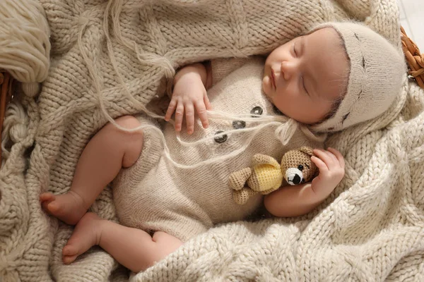 Entzückendes Neugeborenes Mit Spielzeugbär Der Weidenkorb Schläft Von Oben — Stockfoto