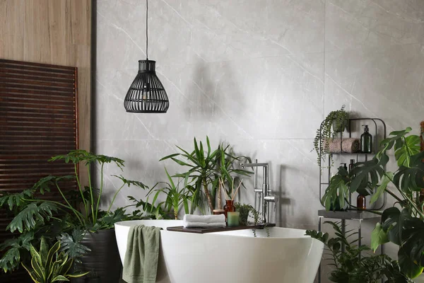 Modern White Tub Beautiful Green Houseplants Bathroom Interior Design — Stock Photo, Image