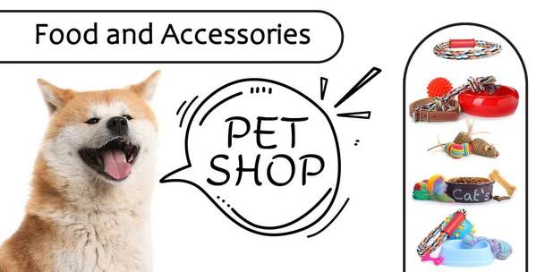 Σχεδιασμός Διαφημιστικού Banner Για Pet Shop Χαριτωμένο Σκυλί Και Διάφορα — Φωτογραφία Αρχείου