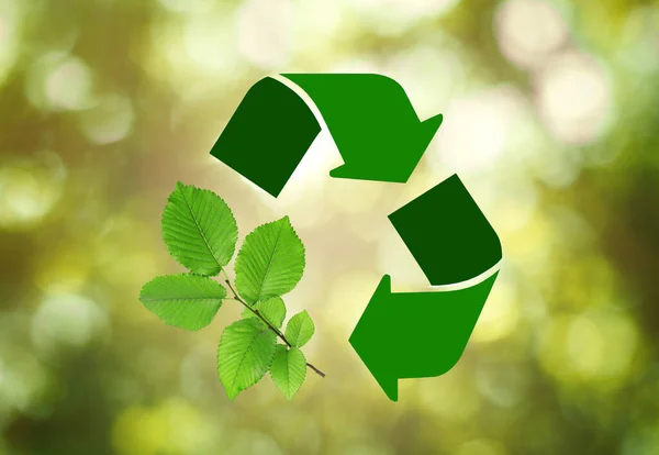 Recycling Symbol Aus Pfeilen Und Zweigen Mit Grünen Blättern Auf — Stockfoto
