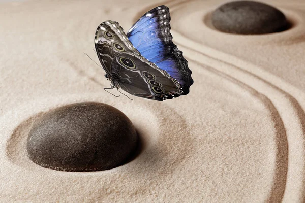 Schöner Schmetterling Und Steine Auf Sand Mit Muster Zen Konzept — Stockfoto