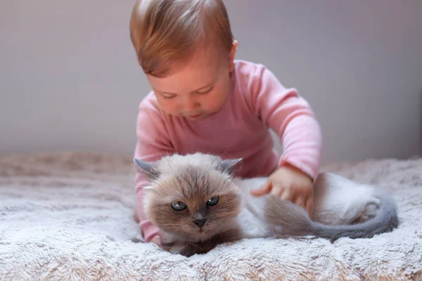Schattige Baby Met Schattige Kat Bed Binnen — Stockfoto