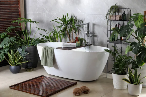 Сучасна Біла Ванна Красиві Зелені Кімнатні Рослини Ванній Дизайн Інтер — стокове фото