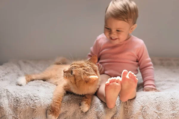 Schattige Baby Schattige Rode Kat Bed Binnen — Stockfoto