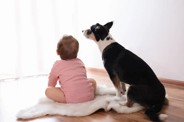 Entzückendes Baby Und Süßer Hund Auf Kunstpelzteppich Drinnen Rückansicht — Stockfoto