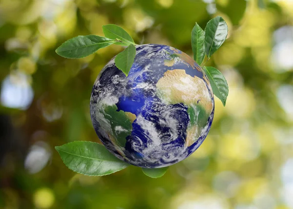 Concepto Reciclaje Planeta Tierra Con Hojas Verdes Sobre Fondo Borroso —  Fotos de Stock