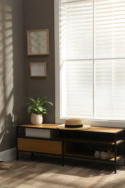 Güzel yeşil ev bitkisi ve ahşap dolaptaki şapka kapalı pencerenin yanında.