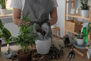 Kapalı alandaki masada saksıyı drenajla dolduran kadın, yakın plan. Çiçek bakımı