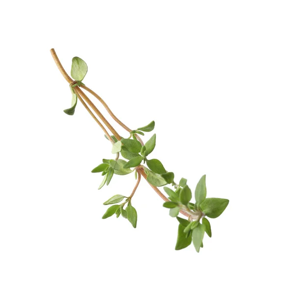 Aromatisk Färsk Grön Timjan Isolerad Vit — Stockfoto
