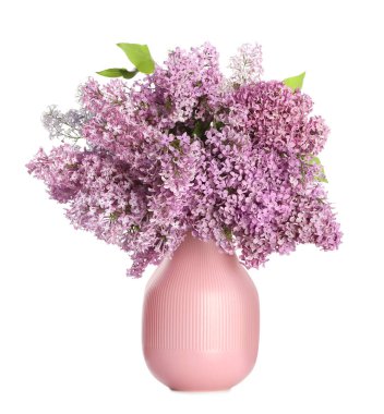 güzel Eflatun çiçekler Vazoda beyaz izole