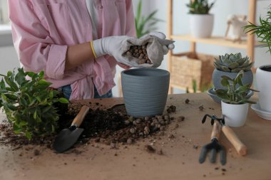Kapalı alandaki masada saksıyı drenajla dolduran kadın, yakın plan. Çiçek bakımı
