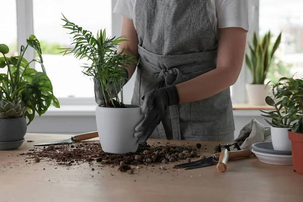 Kvinna Plantering Vacker Krukväxt Vid Bordet Inomhus Närbild — Stockfoto