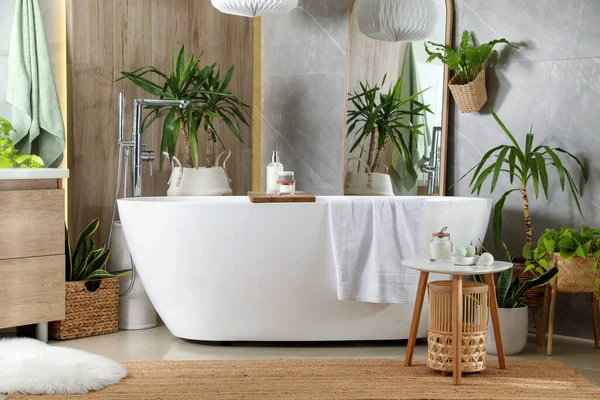 Modern Beyaz Küvet Güzel Yeşil Bitkiler Banyoda Tasarım — Stok fotoğraf