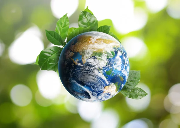 Ανακύκλωση Πλανήτης Πράσινα Φύλλα Θολή Φόντο — Φωτογραφία Αρχείου