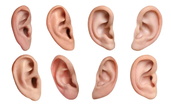 Ludzkie Uszy Białym Tle Kolaż Organ Słuchu Równowagi — Zdjęcie stockowe