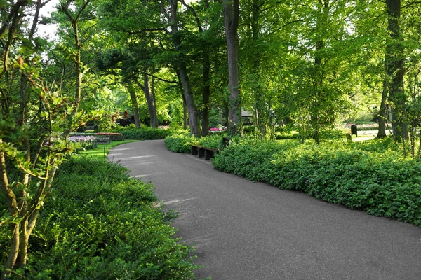 Parc Avec Une Variété Belles Plantes Chemin Jour Ensoleillé Saison — Photo