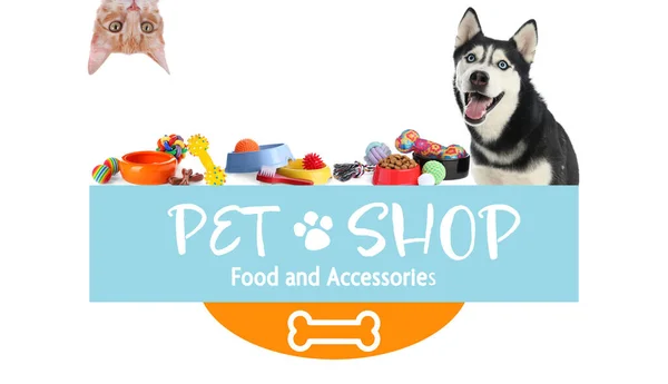 Design Cartaz Publicidade Para Pet Shop Cão Bonito Gato Acessórios — Fotografia de Stock
