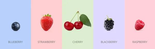 색깔의 배경에 맛있는 열매가 콜라주 — 스톡 사진