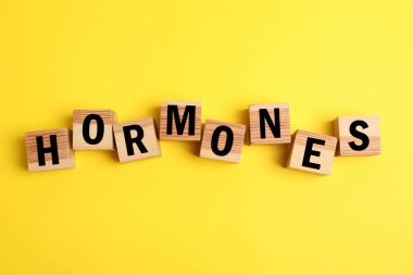 Sözcük hormonları, sarı arka planda harfleri olan tahta küplerden yapılmıştır.
