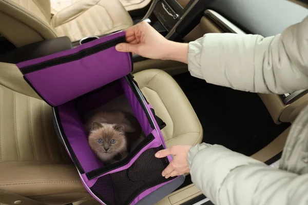 Woman closing pet carrier with cat in car, closeup
