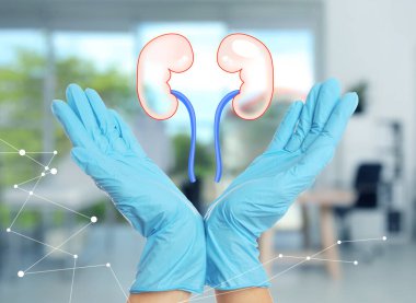 Doktorun kapalı alandaki görüntüsü ve böbreklerin çizimi