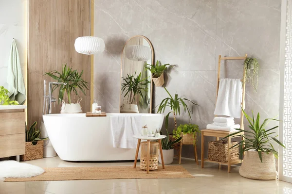 Modern White Tub Beautiful Green Houseplants Bathroom Interior Design — Stock Photo, Image