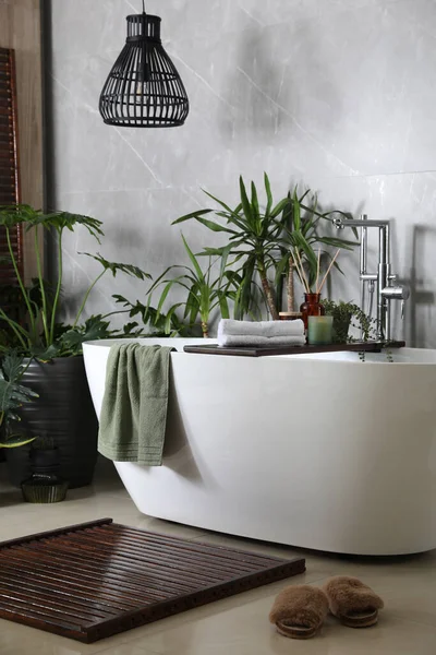 浴室里有现代的白色浴缸和漂亮的绿色室内植物 室内设计 — 图库照片