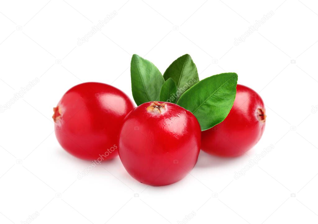 Fresh ripe red cranberries and green leaves on white background