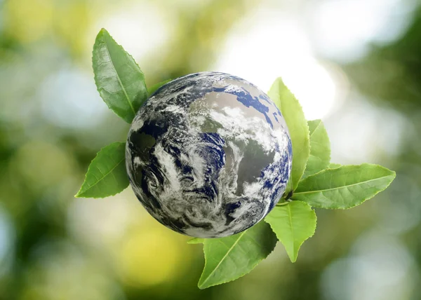 Koncepcja Recyklingu Ziemska Planeta Zielonymi Liśćmi Rozmytym Tle — Zdjęcie stockowe