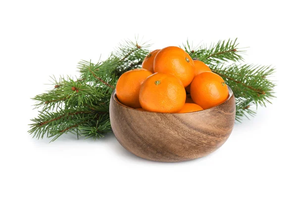 Krásná Kompozice Zralými Mandarinkami Zelenými Jedlovými Větvemi Bílém Pozadí — Stock fotografie