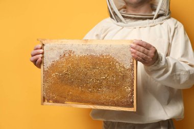 Üniformalı arıcı kovan çerçevesini sarı arka planda bal peteğiyle tutuyor, yakın plan.