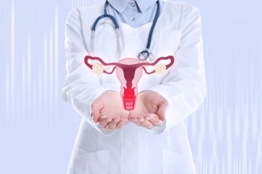 Doktor, ışık arka planında iltihaplı dişi üreme sisteminin sanal görüntüsünü gösteriyor. Yakın plan. Vajinal Candiasis
