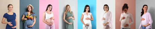 Kollázs Képek Gyönyörű Terhes Nők Különböző Színű Hátterű Bannertervezés — Stock Fotó