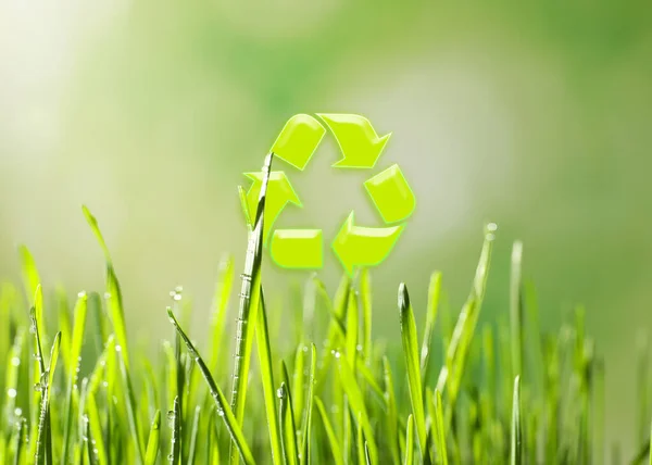 Green grass and illustration of recycling symbol on blurred background