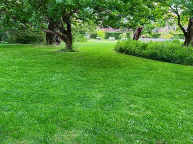 Güneşli bir günde parkta yeşil çimenleri olan güzel bir bahçe.
