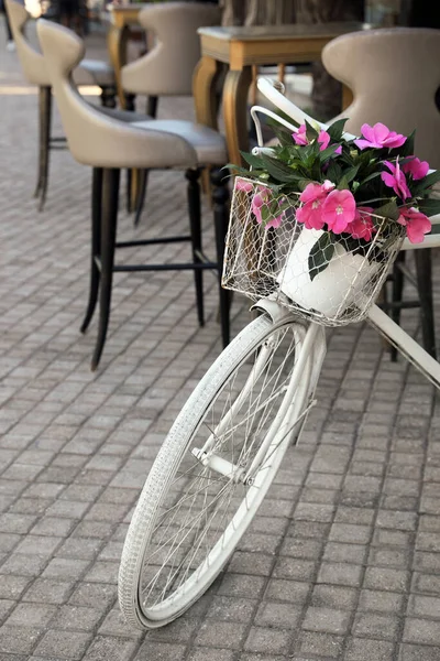 Retro Rower Kwiatami Koszyku Tarasie — Zdjęcie stockowe