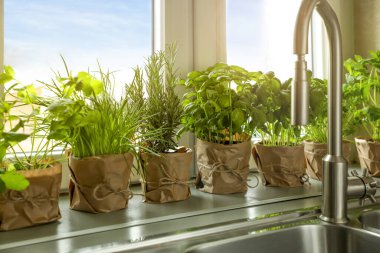 Mutfak lavabosunun yanındaki pencere eşiğinde farklı aromatik saksılar var.
