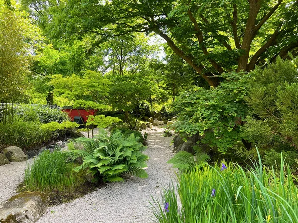 Utsikt Över Gången Går Genom Parken Med Vackra Gröna Växter — Stockfoto